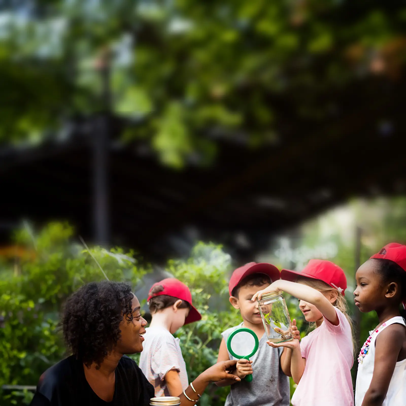 Ngo Programs Environmental Projects Grant Program