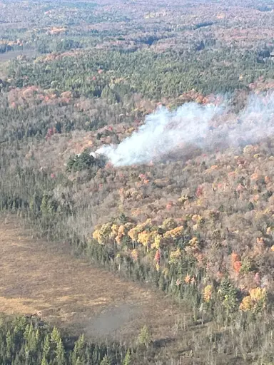 Aerial view of a forest with smoke rising from a fire