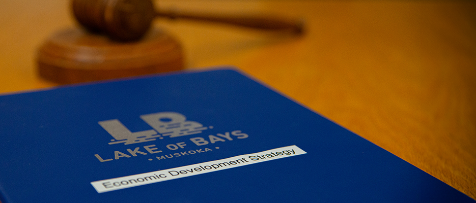 A blue folder with a title that says 'Economic Development Strategy' placed on a table near a gavel