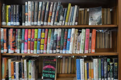 Book on a library shelf