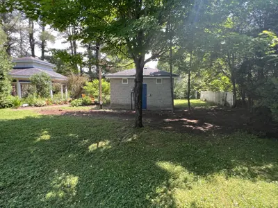Image of Cleared Area