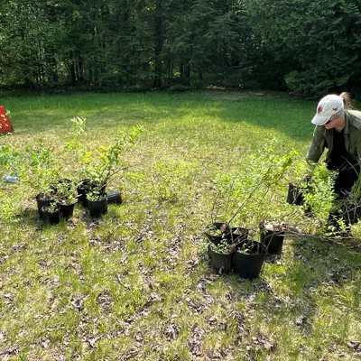 Staff planting new plants at Norway Point Park
