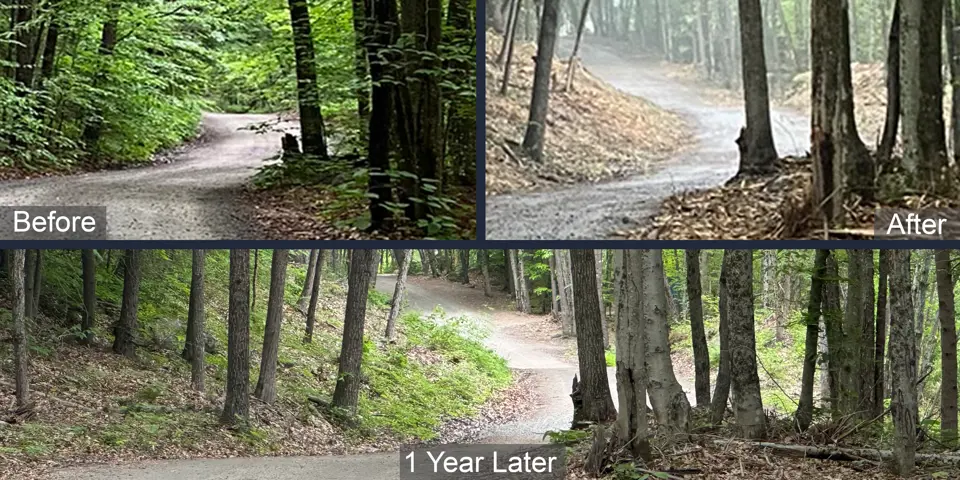 Before, after and one year later photos of a road in Lake of Bays following a vegetation control program showing the difference between the process checkpoints