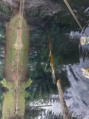 A water sample is collected from a local waterway.